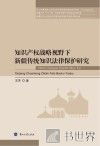 知识产权战略视野下新疆传统知识法律保护研究 封面