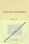 高校青年教师专业发展问题研究 封面