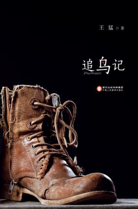 追鸟记 封面
