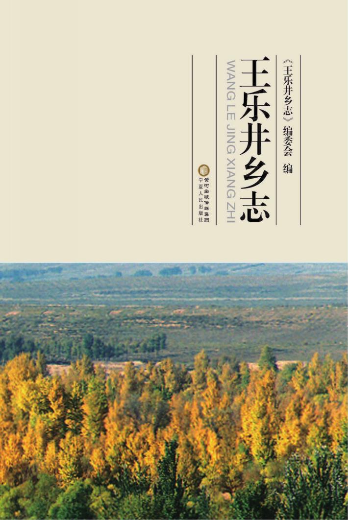 王乐井乡志 封面