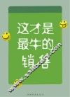 这才是最牛的销售 封面