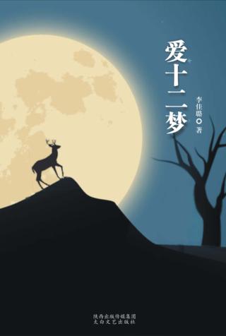 爱十二梦 封面
