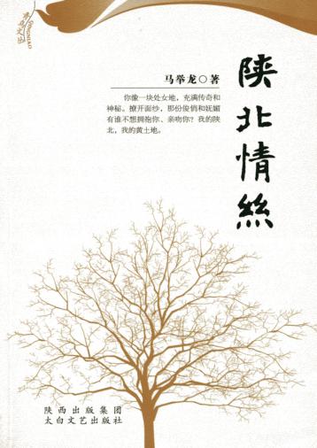 陕北情丝 封面
