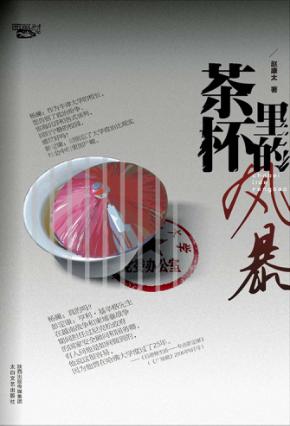 茶杯里的风暴 封面