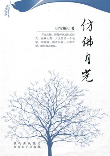 仿佛月光 封面