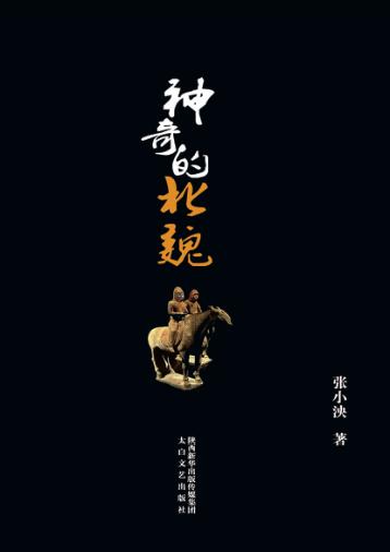 神奇的北魏 封面