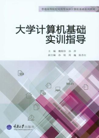 大学计算机基础实训指导 封面