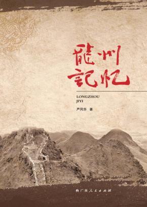 龙州记忆 封面