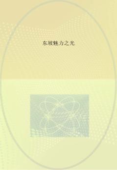 东坡魅力之光 封面