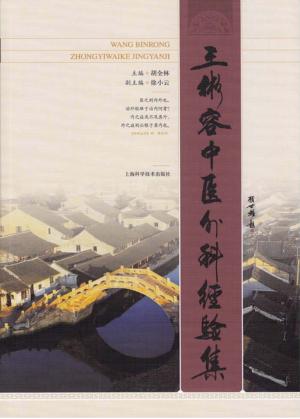 王彬容中医外科经验集 封面