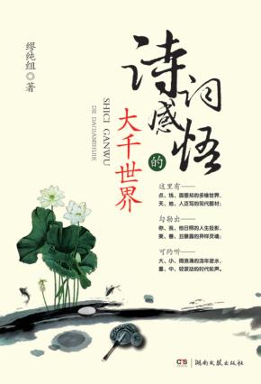 诗词感悟的大千世界 封面