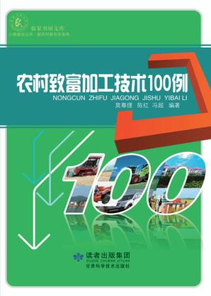 农村致富加工技术100例 封面