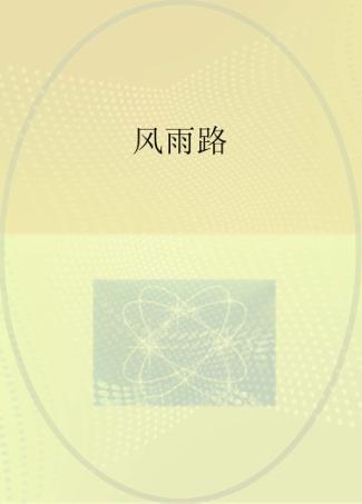 风雨路  第2版 封面