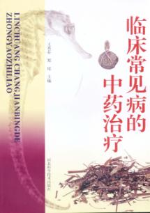 临床常见病的中药治疗 封面