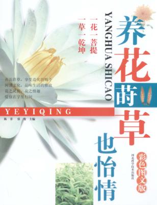 养花莳草也怡情 封面