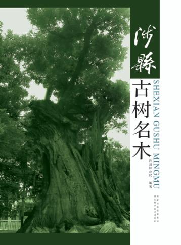 涉县古树名木 封面
