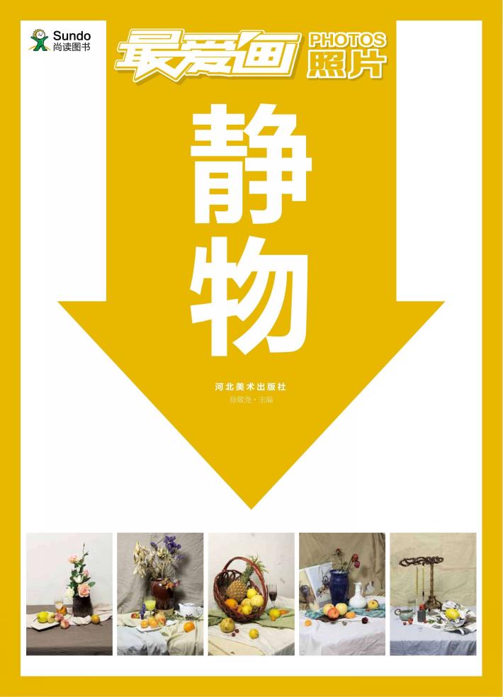 最爱画照片  静物 封面