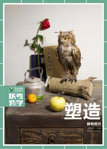 素描+色彩  静物照片  塑造 封面