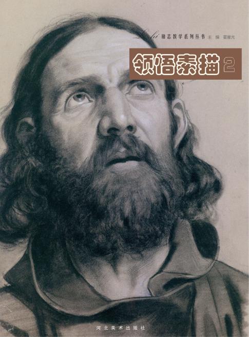 励志教学系列丛书  领悟素描  2 封面