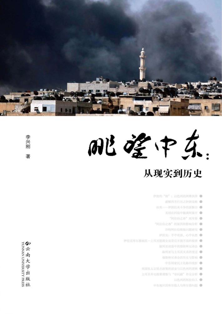 眺望中东  从现实到历史 封面