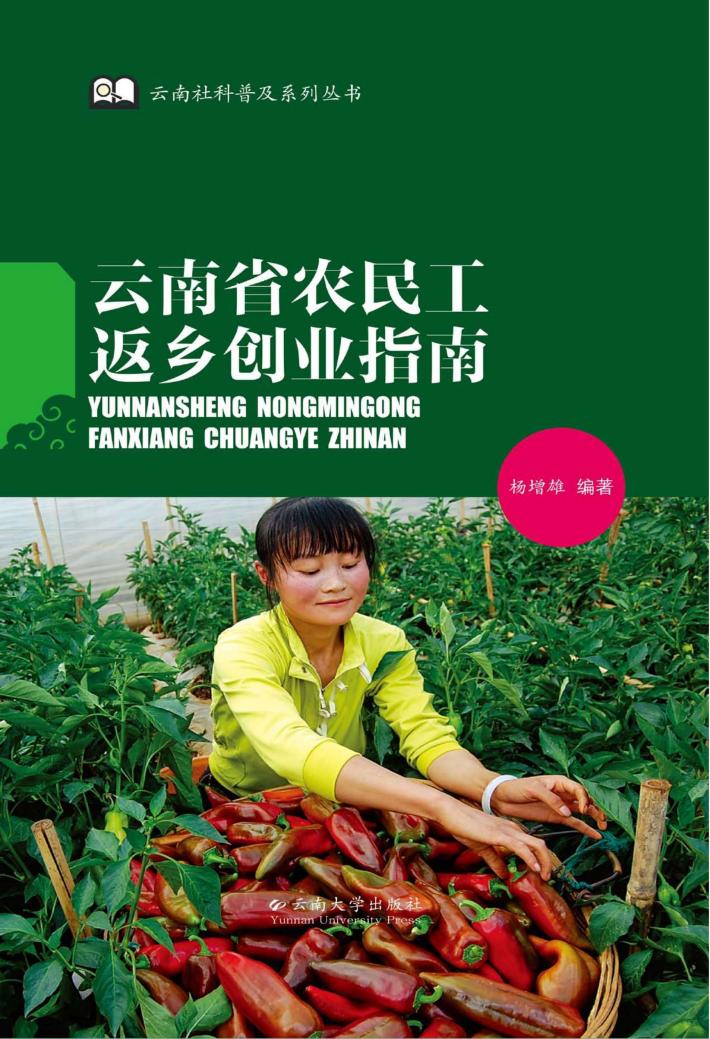 云南省农民工返乡创业指南 封面