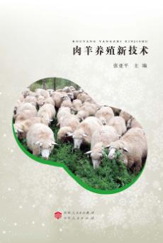农牧民科技之冬培训用书  肉羊养殖新技术 封面