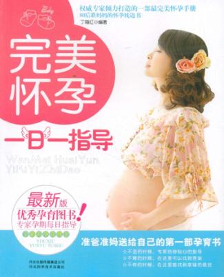 完美怀孕一日一指导  最新版 封面