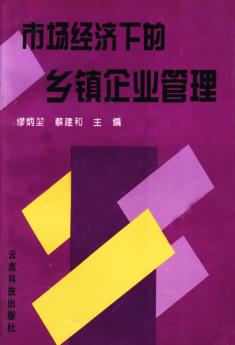 市场经济下的乡镇企业管理 封面