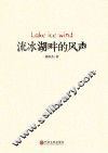 流冰湖畔的风声 封面