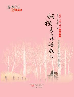 钢铁是怎样炼成的 封面