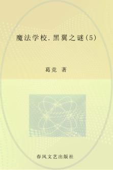 魔法学校  5  黑翼之谜 封面