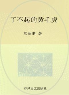 小布老虎丛书  了不起的黄毛虎 封面