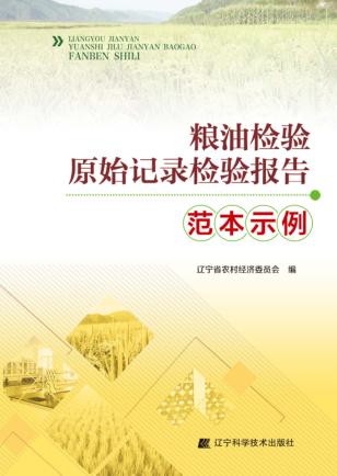 粮油检验原始记录检验报告范本示例 封面