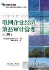 电网企业经济效益审计管理  C级 封面