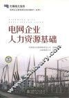 电网企业人力资源基础 封面