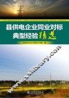 县供电企业同业对标典型经验精选 封面