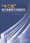十二五电力发展若干问题研究 封面