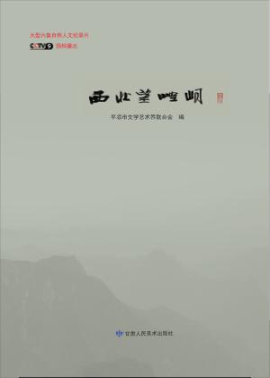 西北望崆峒 封面