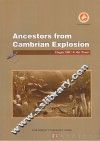 寒武大爆发时的人类远祖  英文 封面