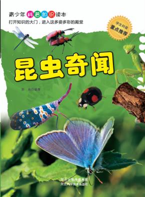 昆虫奇闻 封面