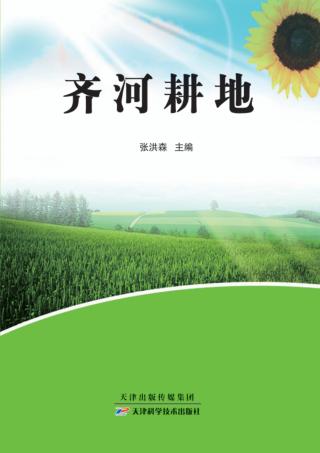 齐河耕地 封面