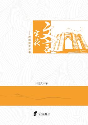 文言实获  我的姚中纪事 封面