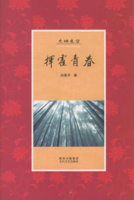 大地文丛  挥霍青春 封面