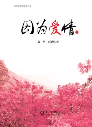 因为爱情  上