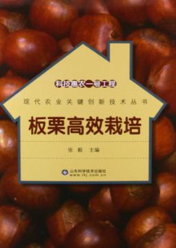 科技惠农一号工程  板栗高效栽培 封面