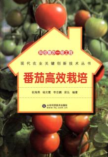 科技惠农一号工程  番茄高效栽培 封面