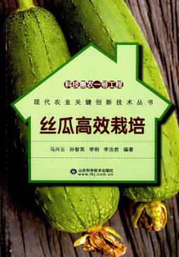 科技惠农一号工程  丝瓜高效栽培 封面