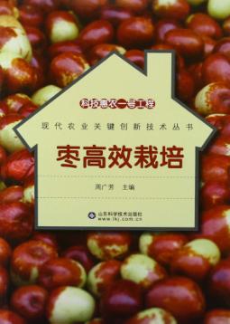 科技惠农一号工程  枣高效栽培 封面