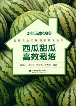 科技惠农一号工程  西瓜甜瓜高效栽培 封面