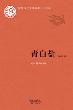 陇原当代文学典藏  小说卷  青白盐 封面